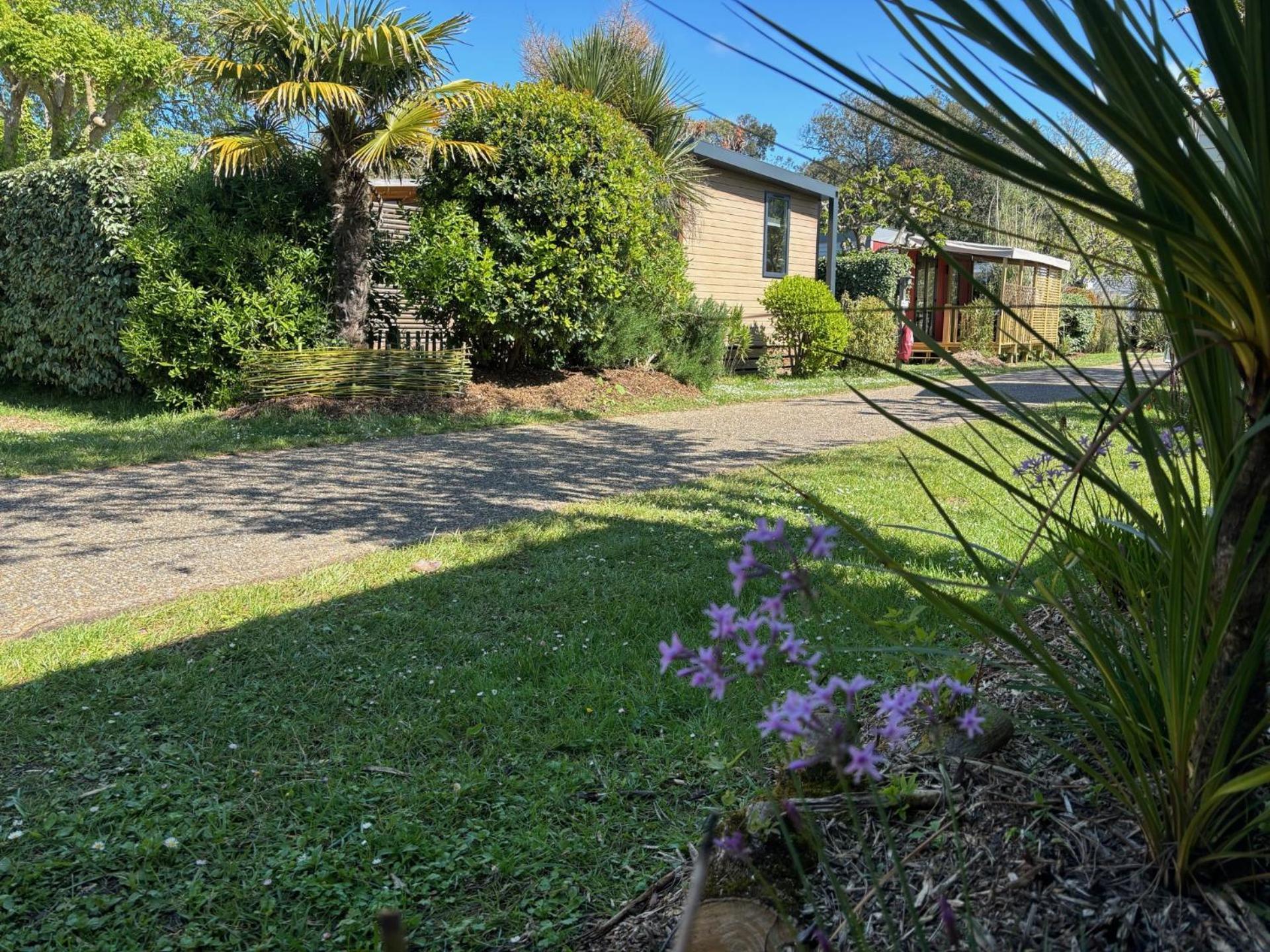 Tahiti Village La Grande Cote Saint-Palais-sur-Mer Eksteriør billede